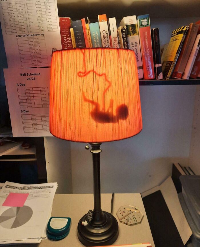 Lamp with lampshade casting a shadow resembling an embryo, illustrating dumb interior design decisions and lack of common sense.