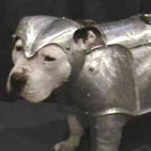 michaelvandeventer avatar