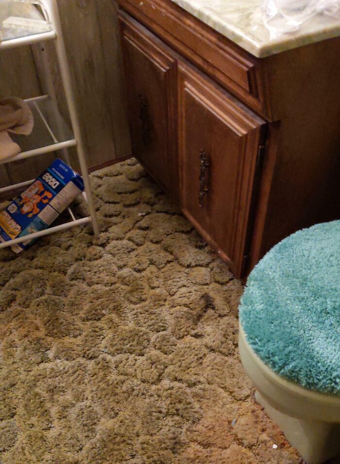 Bathroom with outdated s**g carpet, wooden cabinet doors, and a teal toilet seat cover showing dumb interior design decisions.