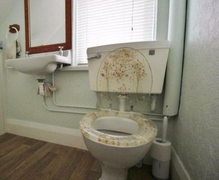 Old toilet with stained seat and tank in a poorly maintained bathroom showing dumb interior design decisions.