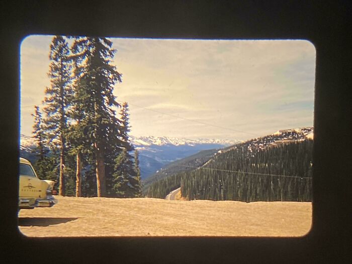 Vintage found photo showing a mountainous landscape with tall trees and a parked classic car on a sunny day.