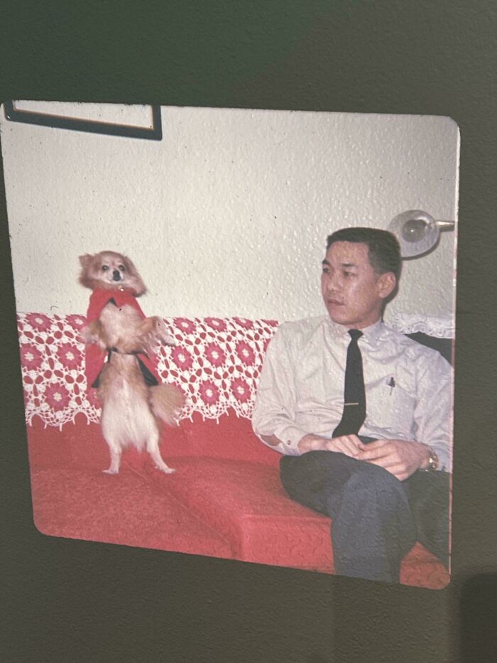 Man in white shirt and tie sitting on red couch next to small dog wearing a red outfit in a vintage found photo.