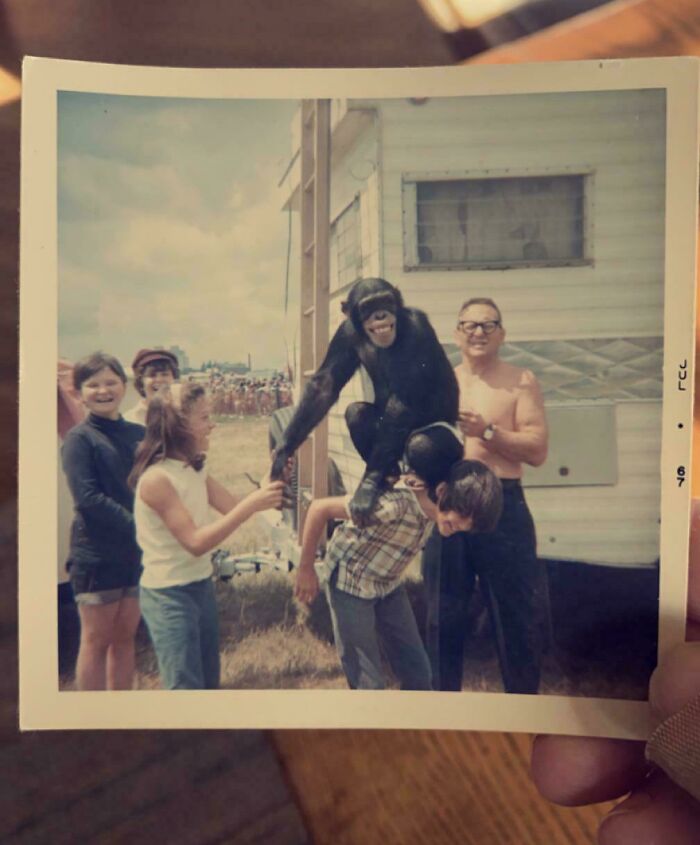 Vintage found photo of people smiling and interacting with a chimpanzee outside near a trailer on a sunny day.