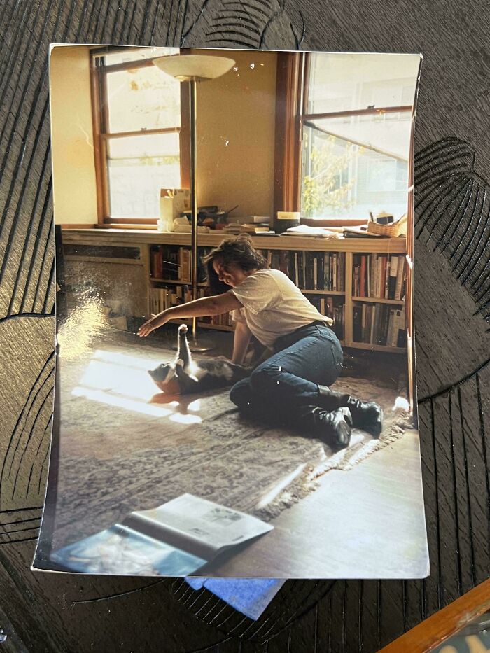 Person playing with cat on the floor inside a sunlit room in a candid people share found photos moment