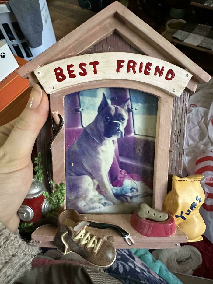 Hand holding a best friend photo frame with a dog picture inside, people share found photos of cherished pets.