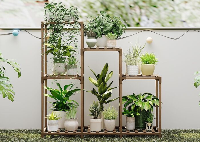 Wooden plant stand with various green indoor plants in pots, popular Amazon movers and shakers trending product display.