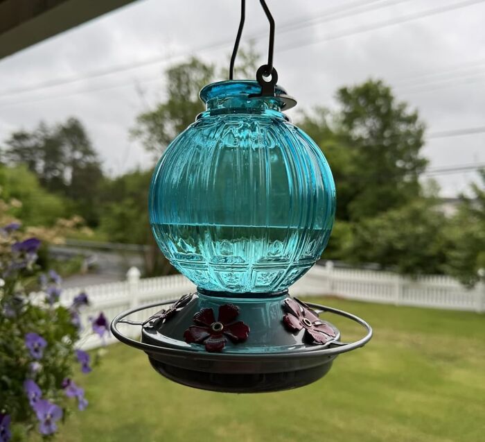 Blue glass hummingbird feeder hanging outdoors with flower-shaped feeding ports, a popular Amazon movers and shakers item.