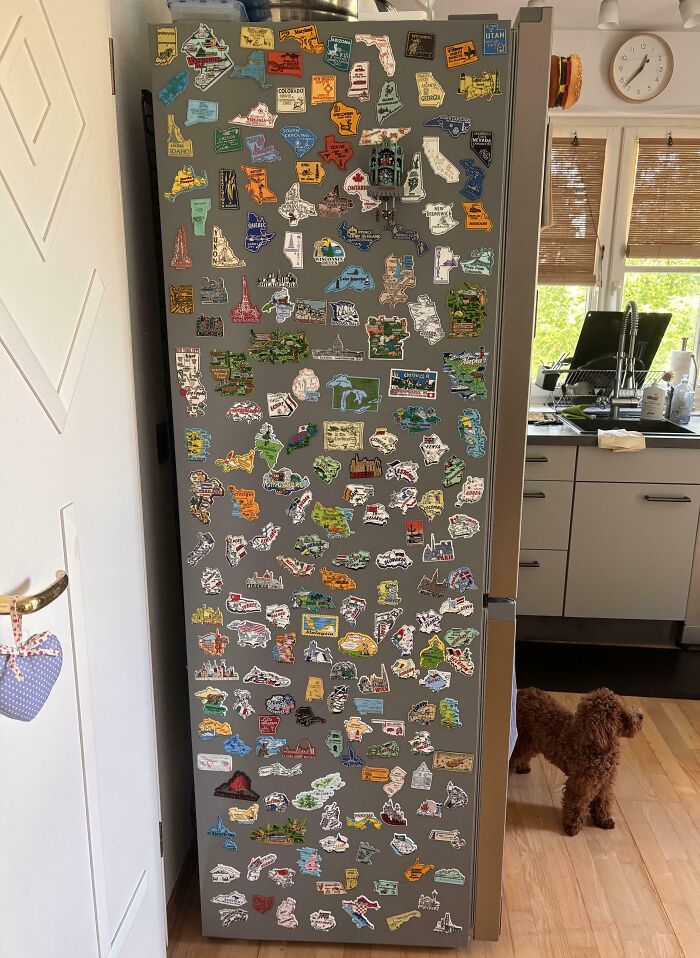 Refrigerator covered with a large collection of colorful state-shaped magnets in a home kitchen setting.