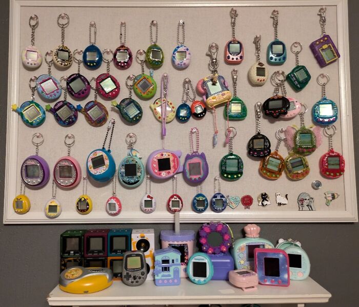 Collection of unusual digital pet devices displayed on a wall and shelf showcasing interesting home collectibles.