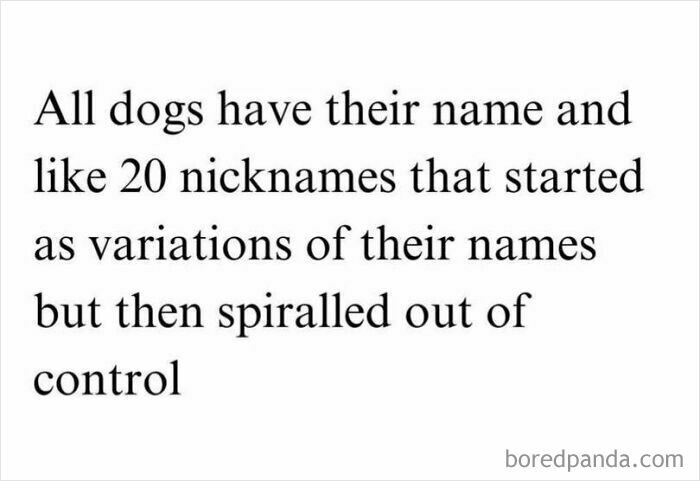 Text meme about dogs having many nicknames that start as name variations but spiral out of control, dog memes SEO keyword.