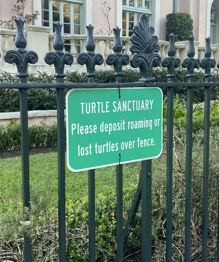 Green sign on black iron fence reading Turtle Sanctuary with instructions to deposit roaming or lost turtles over fence.
