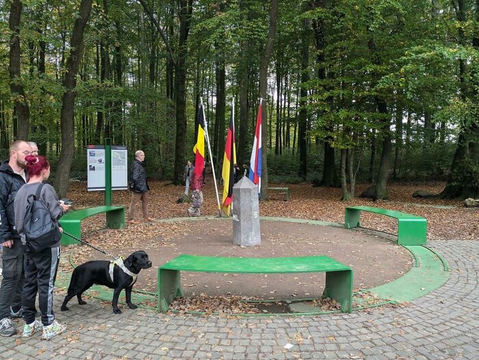 Three people and a dog near a circular bench and flagpoles in a wooded area, showcasing fascinating pictures for curious minds.