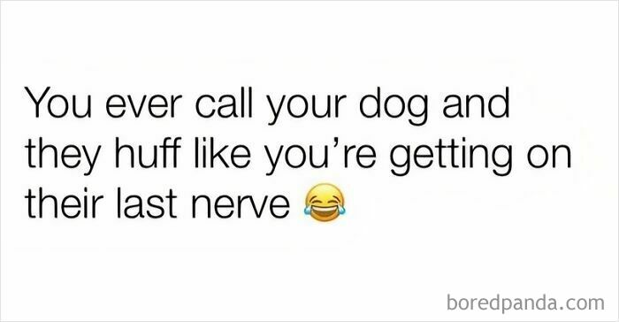Text meme about dogs showing a funny moment with a dog that huffs like you're getting on their last nerve.
