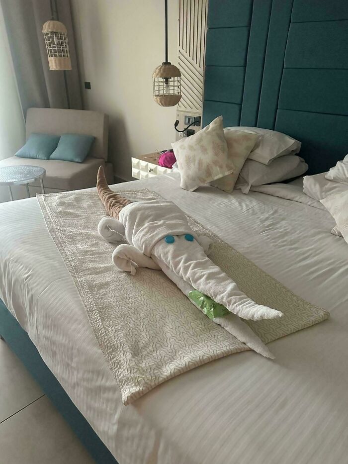 Creative hotel design featuring a towel folded into a crocodile shape on a neatly made bed in a modern room.