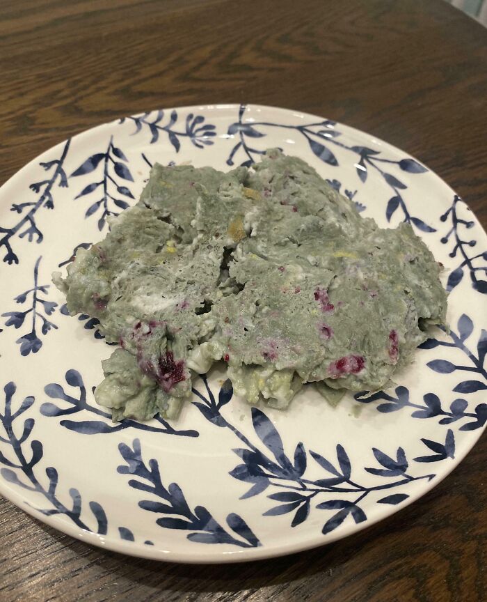 Unappetizing cooking fail on decorative plate showing a messy, grayish homemade dish with red spots.