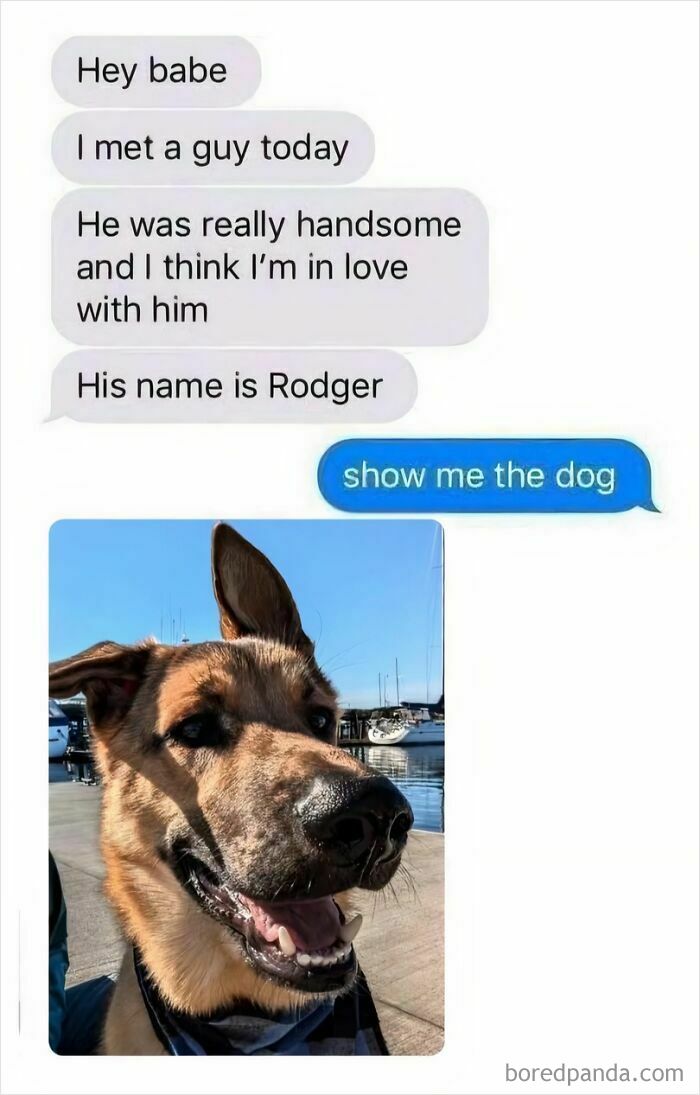 Text message exchange about meeting a handsome dog named Rodger, accompanied by a happy German Shepherd image.