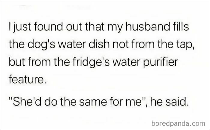 Text meme about a husband filling the dog's water bowl with purified water, a humorous dog meme from the collection.