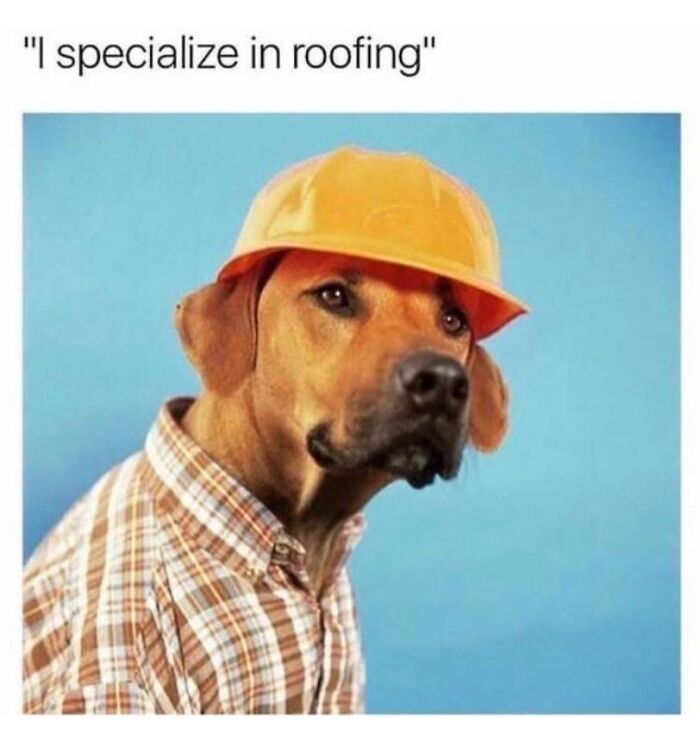 Dog wearing an orange construction helmet and plaid shirt, humorous dog meme perfect for dog memes about huggable puppers.