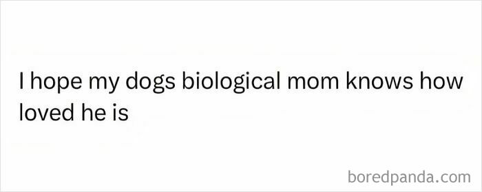 Text meme expressing hope that a dog's biological mom knows how loved he is, featuring dog memes humor.