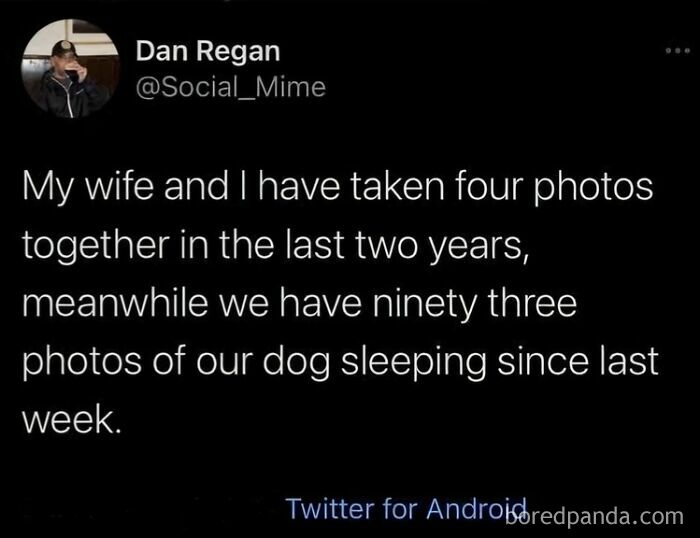 Screenshot of a tweet about taking more photos of their dog than themselves, highlighting dog memes and dog love.