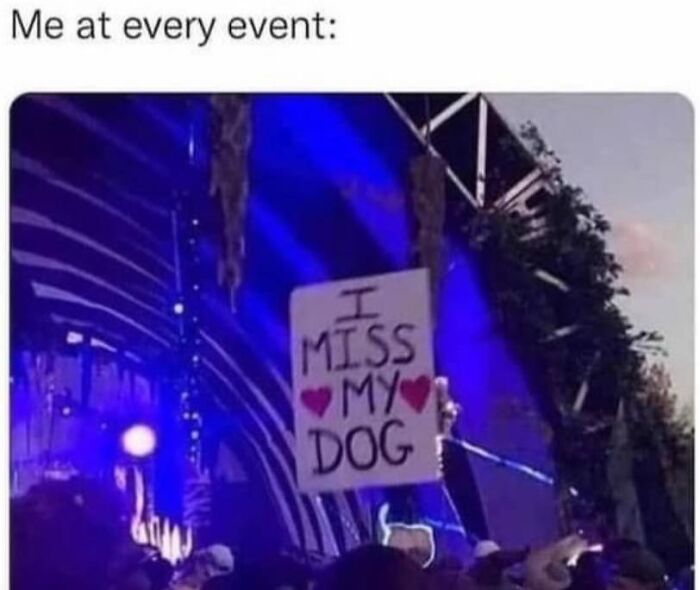 Person at event holding sign that says I miss my dog with hearts, dog memes evoking love for pups.