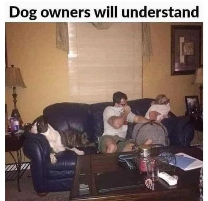 Dog meme with owners covering their noses while sitting on a couch near a large dog, relatable for dog owners.