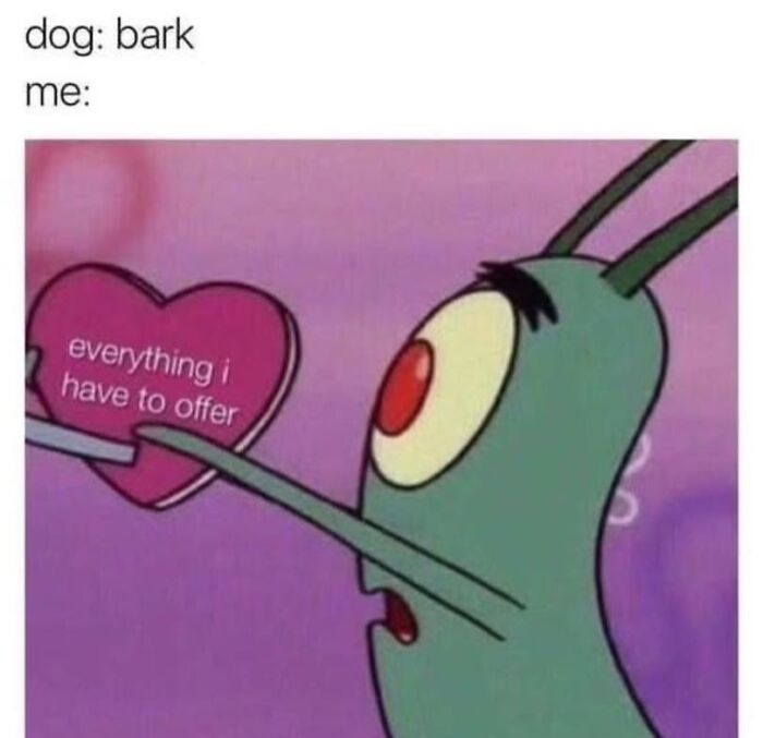Cartoon character offering a heart labeled everything I have to offer, humorous dog memes about love and affection.