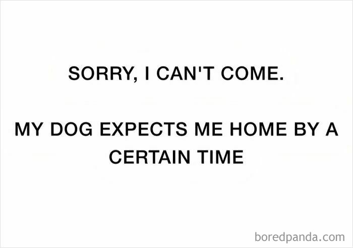 Text meme about dog owners prioritizing their pets, featuring the phrase My dog expects me home by a certain time, related to dog memes.
