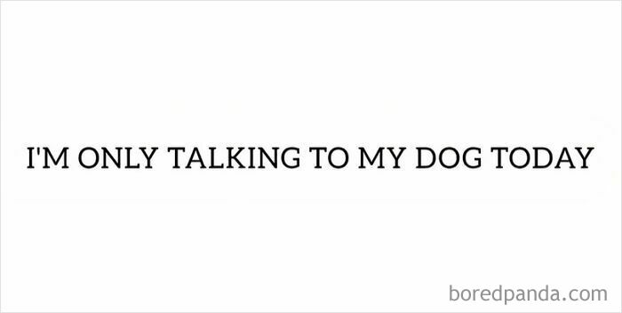 Text-only dog meme stating I'm only talking to my dog today, highlighting dog memes and humor for dog lovers.