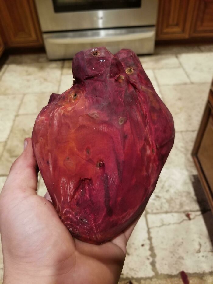 Hand holding a red sweet potato shaped like a human heart in a kitchen setting, interesting things double take.