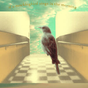 kathleengrace avatar