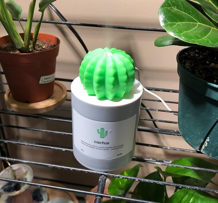 Green cactus-shaped candle on a shelf among plants, an unexpected find for an instant mood lift.