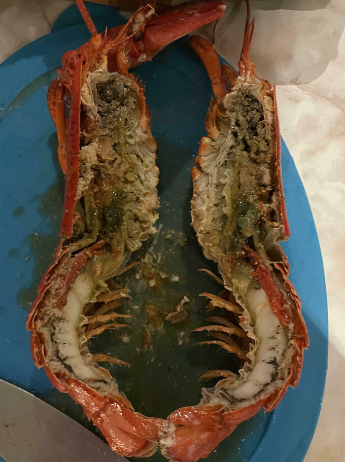 Half-cooked lobster split open showing undercooked and spoiled parts, a painful cooking fail on a blue plate.