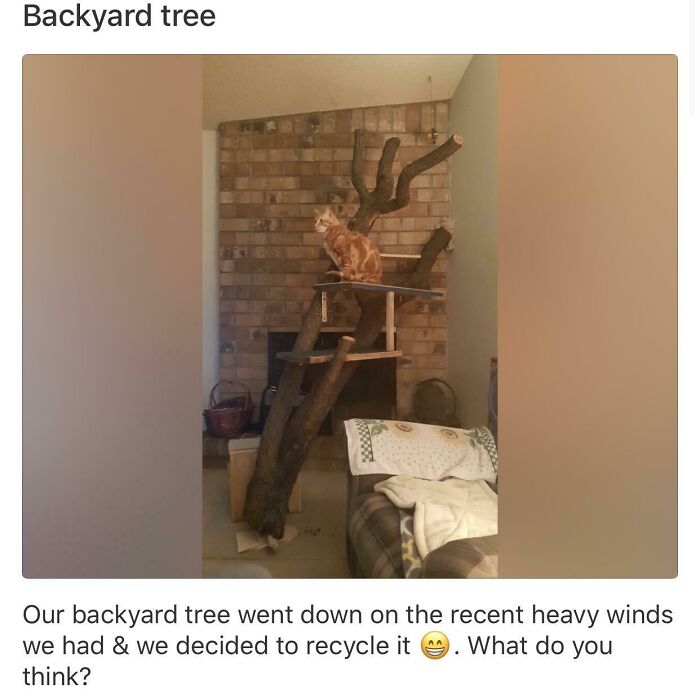 Indoor DIY project made from a recycled backyard tree turned into a cat climbing structure with platforms.