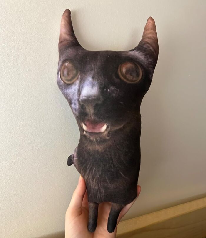 Hand holding a quirky black animal-shaped plush, one of the ridiculous purchases that just kind of make sense.