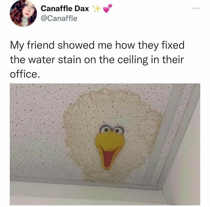 Creative DIY project fixing a ceiling water stain by turning it into a Big Bird face, showcasing unique DIY genius or unhinged ideas.