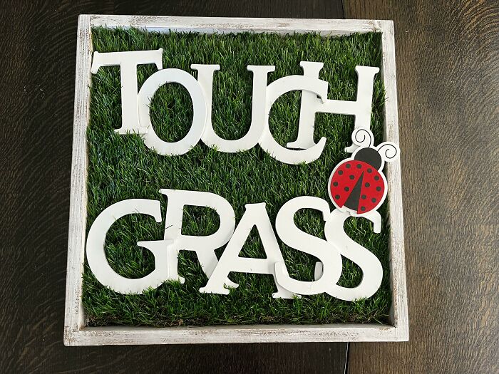 Square DIY project featuring artificial grass with bold white letters and a decorative ladybug on a dark wooden surface.