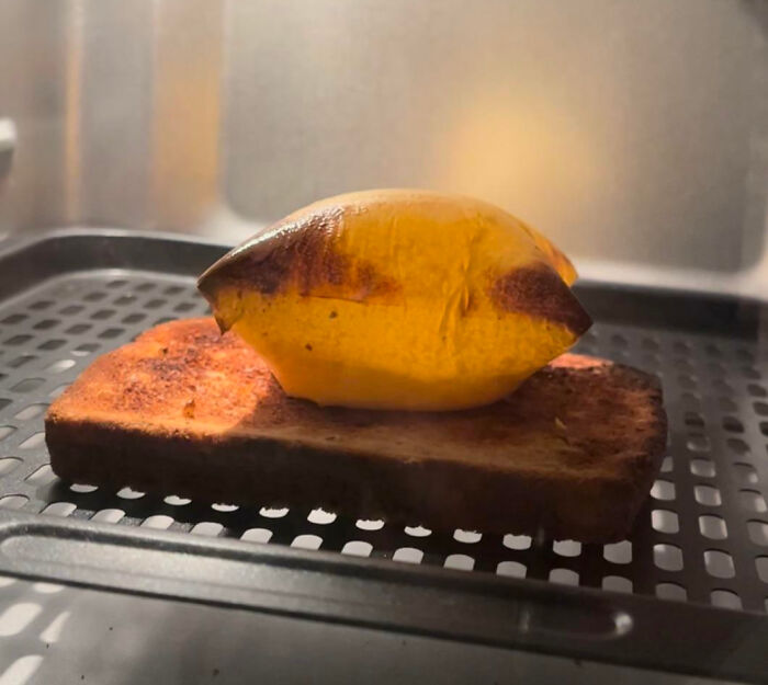 Burnt lemon and toast in an oven, showcasing a cooking fail from hilariously painful cooking accidents.