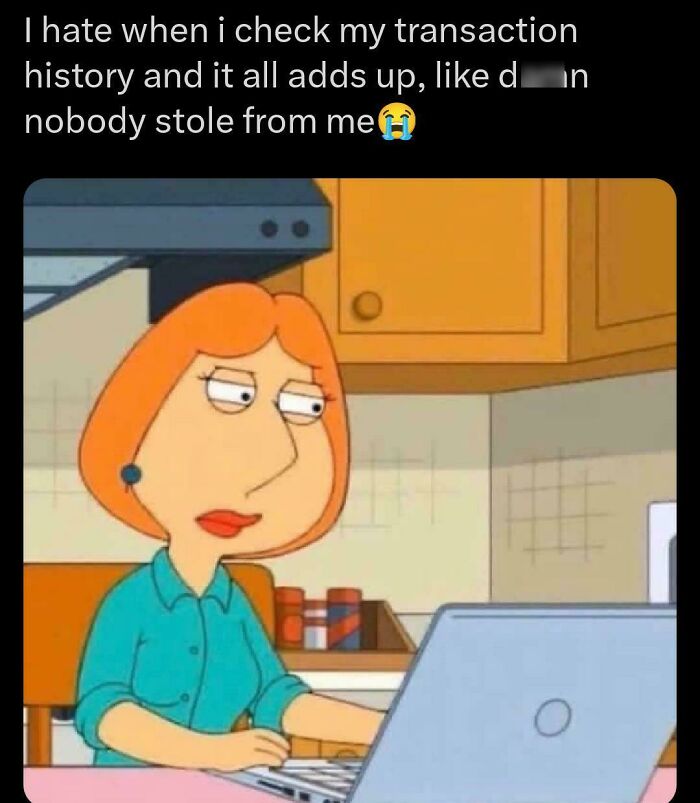 Cartoon woman looking disappointed at laptop, relatable meme about checking transaction history in human experience memes.