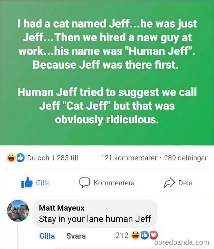 Text post about a cat named Jeff and a new worker called Human Jeff, with a comment saying stay in your lane human Jeff.