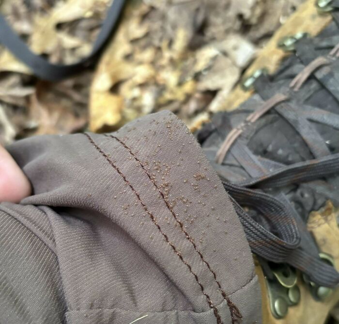 Close-up of fabric with small brown bumps ruining the mood of a mildly infuriated person outdoors near boots and leaves.