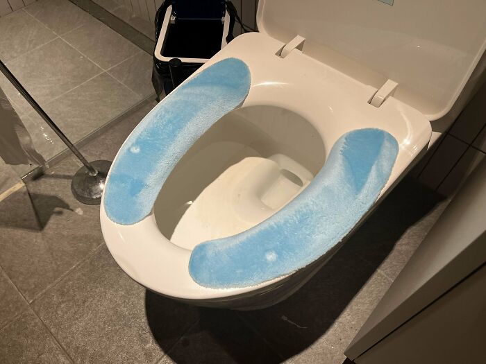 Toilet seat with worn-out blue covers in a bathroom, showing a common mildly infuriated moment from daily life.