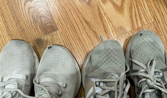 Worn and damaged shoes on wooden floor showing what mildly infuriated people shared that ruined their mood.
