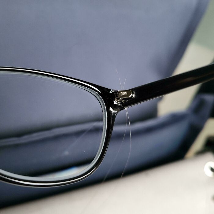 Close-up of black eyeglass frame with hairs stuck around the hinge, illustrating a mildly infuriated mood moment.