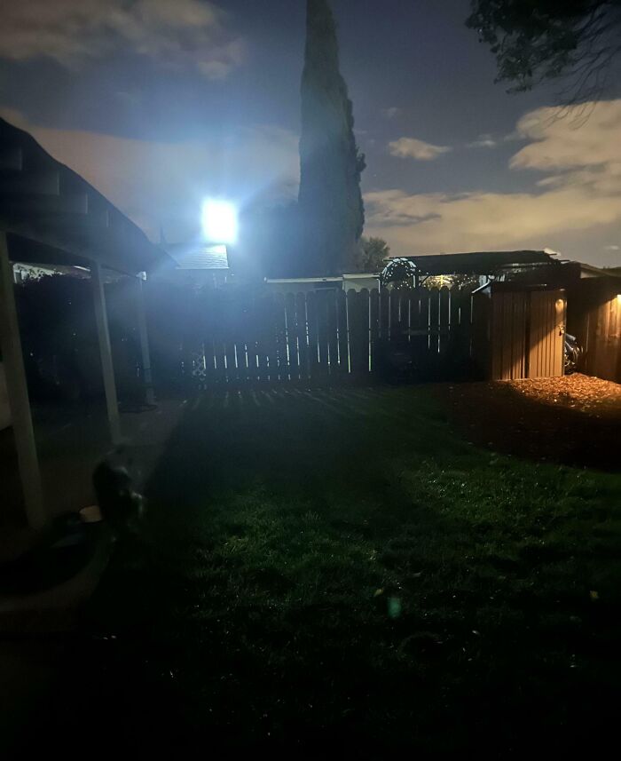 Dark backyard at night with bright light glare near fence, creating a mood-ruling scene shared by mildly infuriated people.