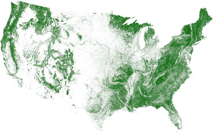 Topographic map of the United States showing green vegetation coverage and terrain variations in America.