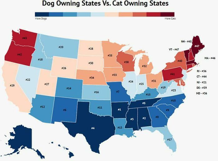Map of America showing dog-owning states in shades of blue and cat-owning states in shades of red by popularity rank.