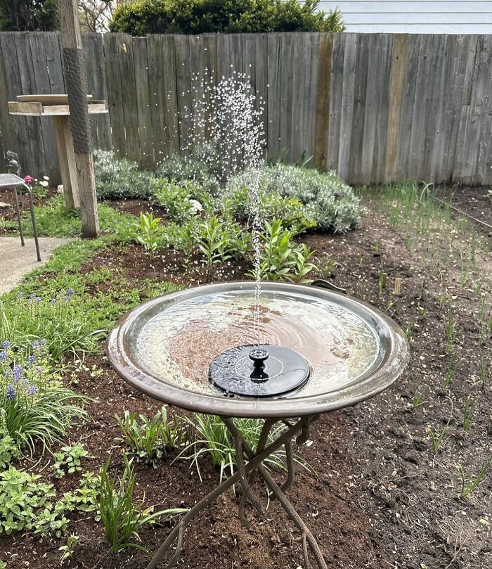 Solar water fountain in garden, one of the top Amazon finds living rent-free on wishlists right now.