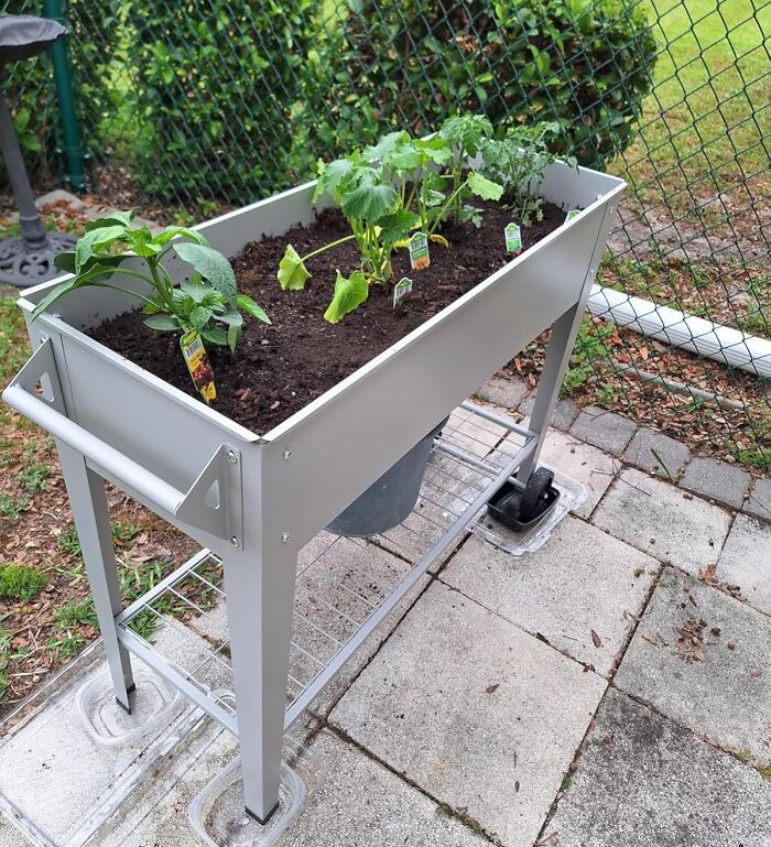 Elevated garden planter with growing plants outdoors, one of the top Amazon finds popular on wishlists right now