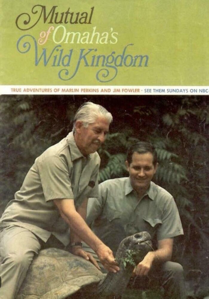 Two men interacting with a large tortoise in a nostalgic wildlife photo from Mutual of Omaha's Wild Kingdom series.